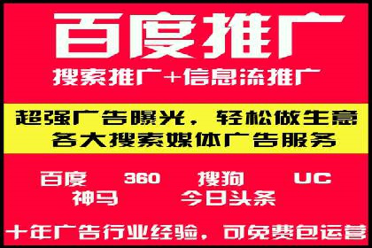 竞价推广代运营：成功案例解析